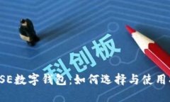 : DSE数字钱包：如何选择与使用指南