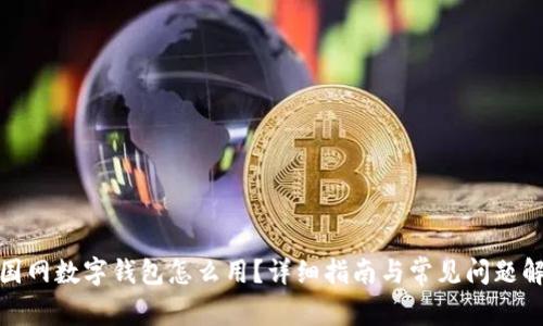 : 国网数字钱包怎么用？详细指南与常见问题解答
