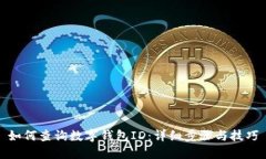 如何查询数字钱包ID：详细步骤与技巧