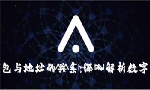: 数字钱包与地址的关系：深入解析数字资产管理