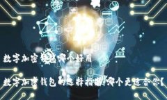 数字加密钱包哪个好用数字加密钱包的选择指南