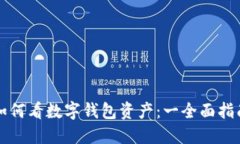 如何看数字钱包资产：一全面指南
