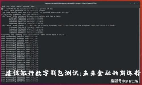  建设银行数字钱包测试：未来金融的新选择