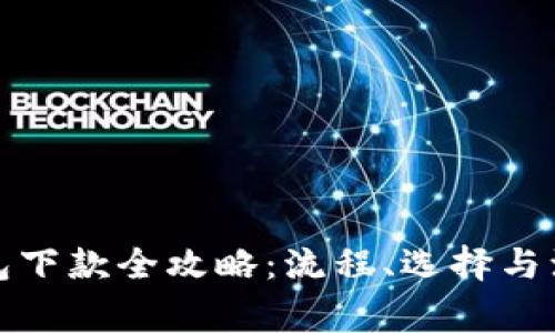 数字钱包下款全攻略：流程、选择与注意事项