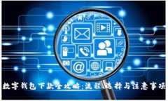 数字钱包下款全攻略：流程、选择与注意事项