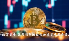探秘数字货币：使用钱包地址的加密货币揭示与