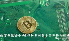 飞机里面的数字钱包安全吗？详细分析引导你做