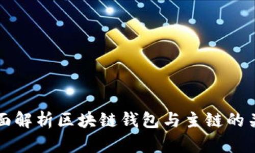 全面解析区块链钱包与主链的关系