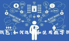 : 区块链风口钱包：如何选择和使用数字钱包的全