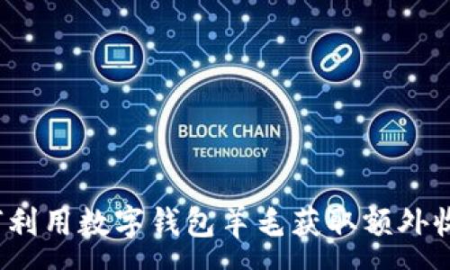 :
如何利用数字钱包羊毛获取额外收益？