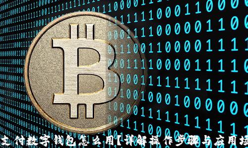 
云支付数字钱包怎么用？详解操作步骤与应用场景