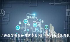 : 上海数字钱包如何消费支付？详细指南与使用技