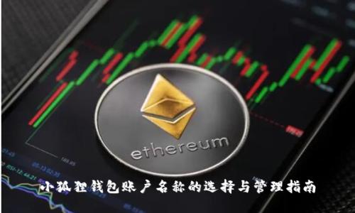 小狐狸钱包账户名称的选择与管理指南