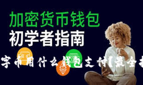 :数字币用什么钱包支付？最全指南