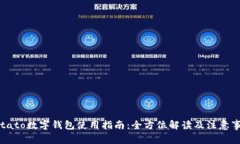 Potato数字钱包使用指南：全方位解读及注意事项