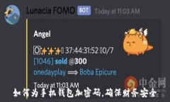   如何为手机钱包加密码，确保财务安全