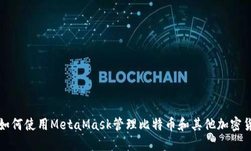 : 如何使用MetaMask管理比特币和其他加密货币