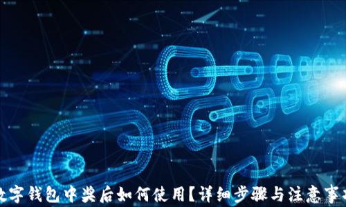 
数字钱包中奖后如何使用？详细步骤与注意事项