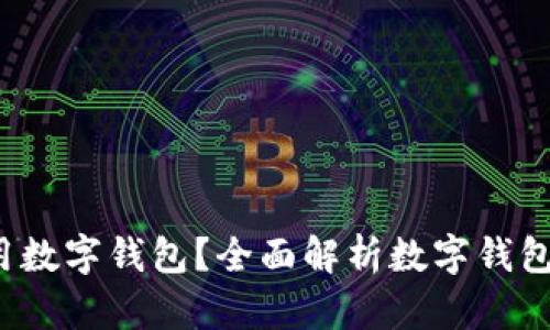  哪里可以用数字钱包？全面解析数字钱包的使用场景