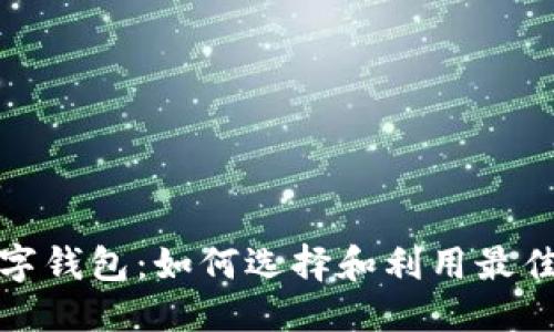 思考  
世界最大的数字钱包：如何选择和利用最佳数字支付工具