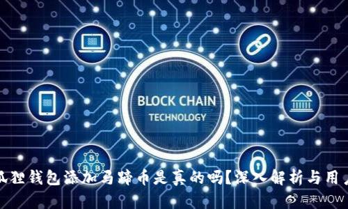 : 小狐狸钱包添加马蹄币是真的吗?深入解析与用户指南